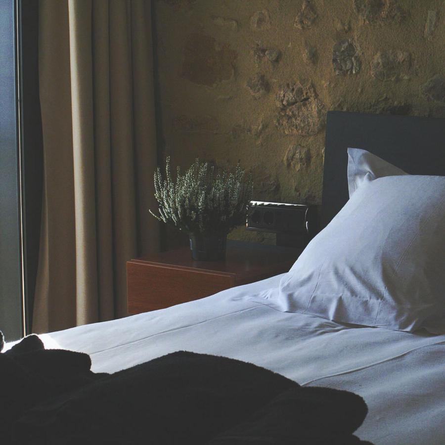 Hotel Mas Oliveres Pla De Palau Llers Экстерьер фото